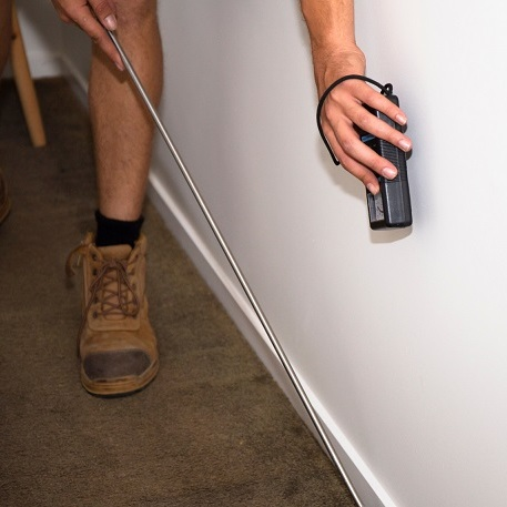 Three Mile Island Termite Removal