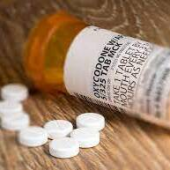 buy oxycodone online overnight
