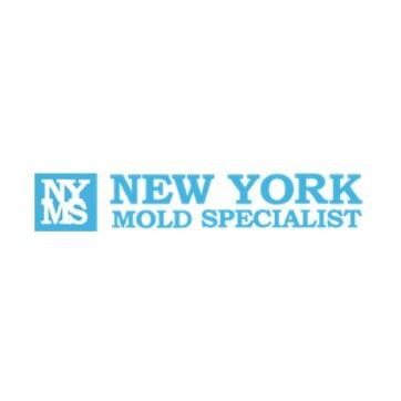 New York Mold Specialist - Mold Inspection, Removal & Remediation in New York