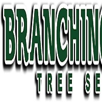 Branching Out Tree Service