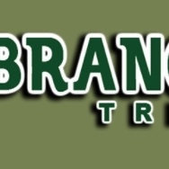 Tree Cutting & Trimming Nesconset