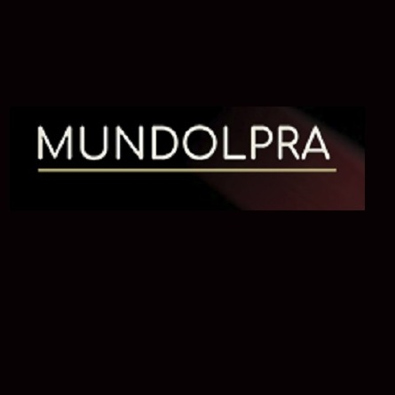 Mundolepra - Best Louis Vuitton Replica Bags Offers