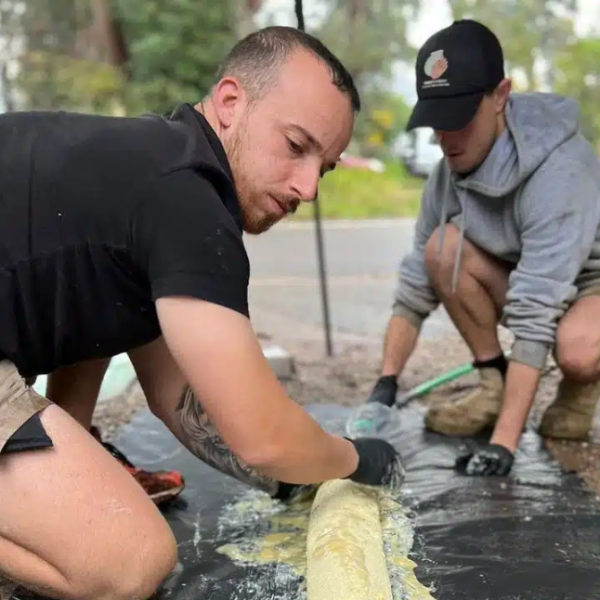 Pipe Relining Wahroonga