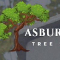 Asbury Park Tree Service