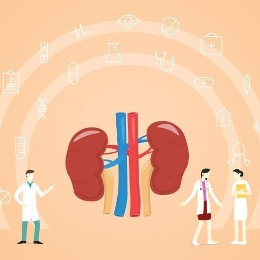 Kidney Treatment in India