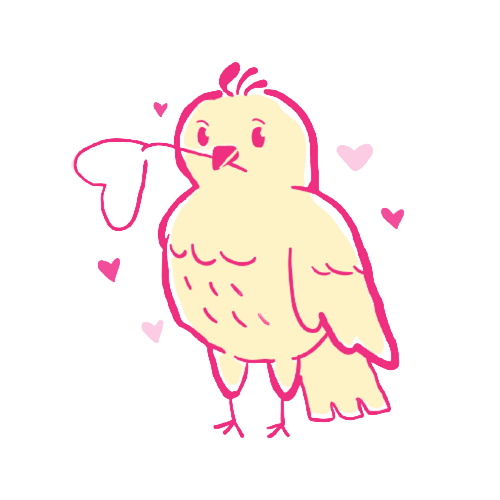 Cockatiel Caring Tips