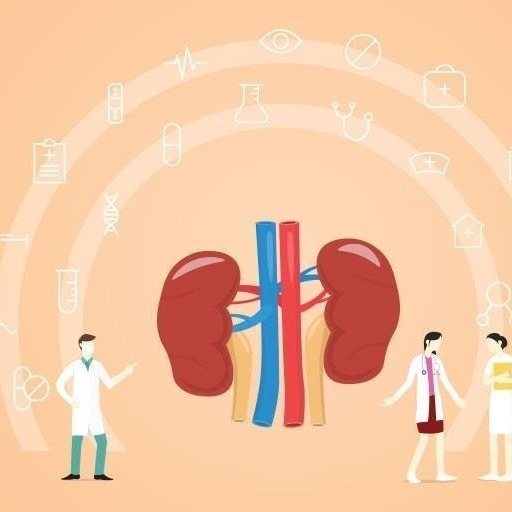 Kidney Treatment in India