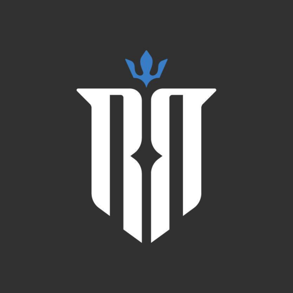 Rigility Surveillance Solutions SF