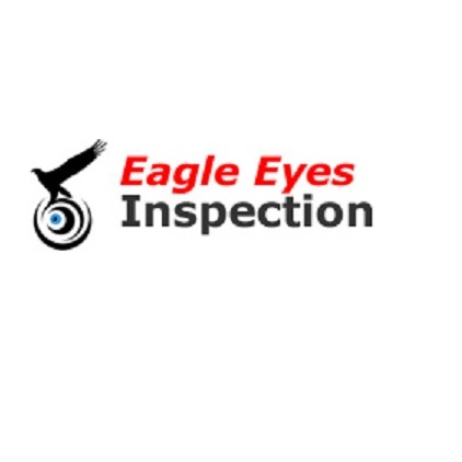 China factory audit report-Eagle Eyes