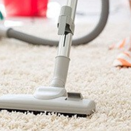 Taylor's Best Carpet Cleaners