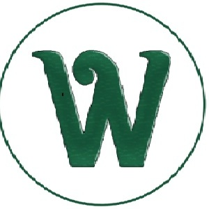 Web Expert