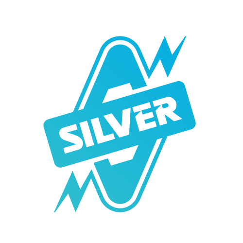 SILVER CONSUMER ELECTRICALS PRIVATE LIMITED