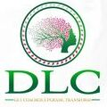 Dynamic Leadership Coaching