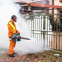 Pest Control Passaic