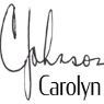 Carolyn Johnson Gallery - Surfboard/Coast Art