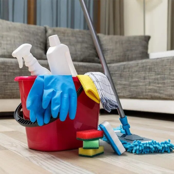 Phoenix Look Cleaning Service GTA