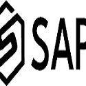 Sapid SEO Company