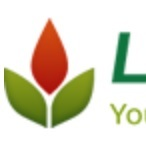Phoenix SEO Company, LHI