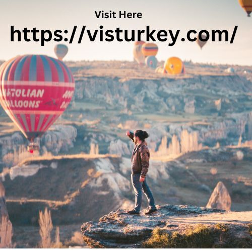 e visa turkey for us citizens profile at Startupxplore