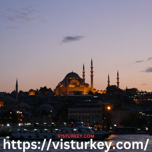 get e visa for turkey profile at Startupxplore