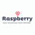Raspberry IT Services