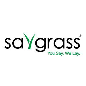 Saygrass