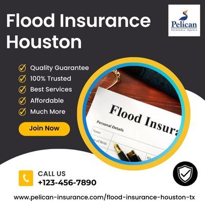 Pelican Insurance Agency
