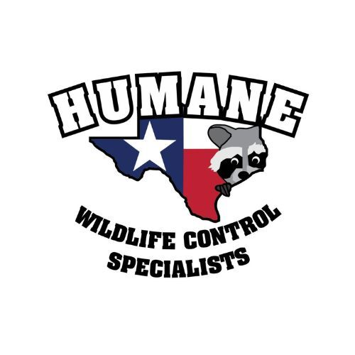 Humane WildLife Controls