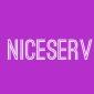 Niceserv Repairs