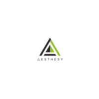 Aesthesy