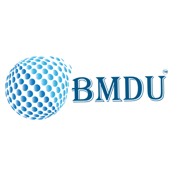 B M Digital Utlization LLP