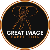 Great Image Expedition Ltd - Startupxplore Great Image Expedition Ltd