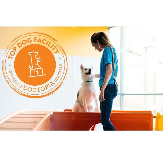 Dogtopia of Canton