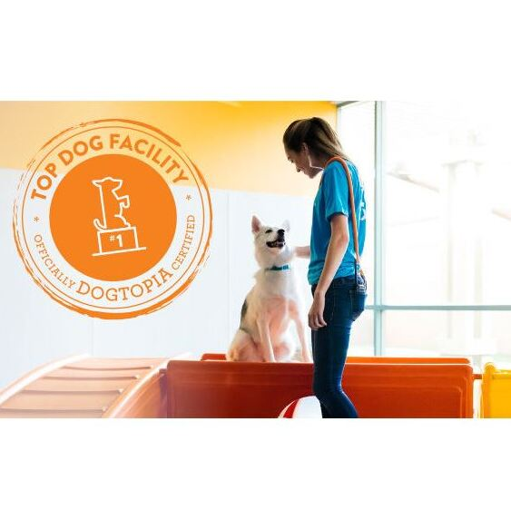Dogtopia of Orlando - Apopka