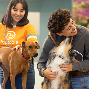Dogtopia of Orlando - Longwood