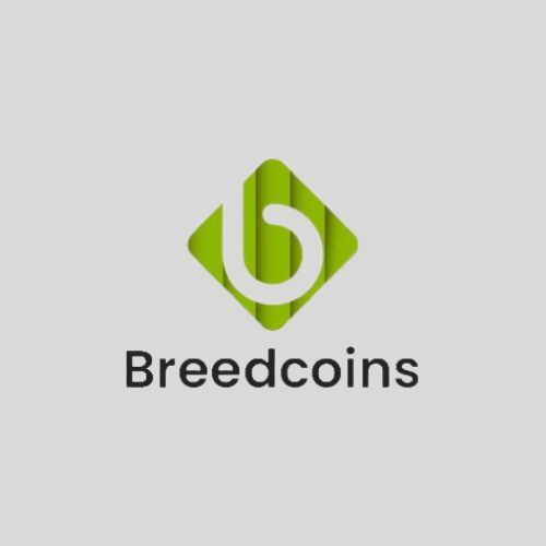 Breedcoins - Binance Clone Script Provider