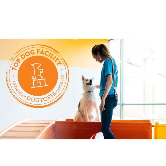 Dogtopia of Orlando - Sanford