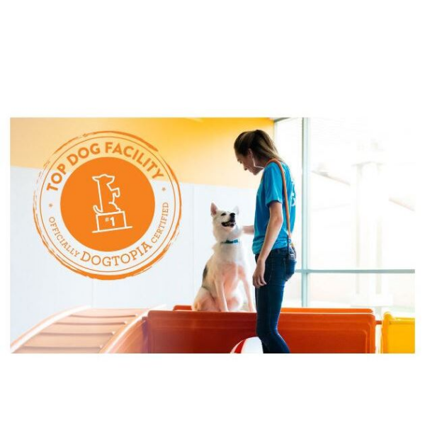 Dogtopia of Scottsdale-Raintree