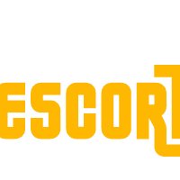 Escorts In Delhi Network