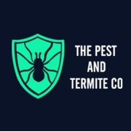 Termite Inspection Brisbane