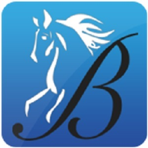 Tom Bay - Bridlewood Insurance