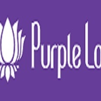 Purple Lotus