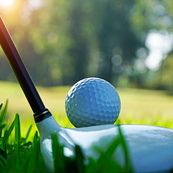 Golf Tees