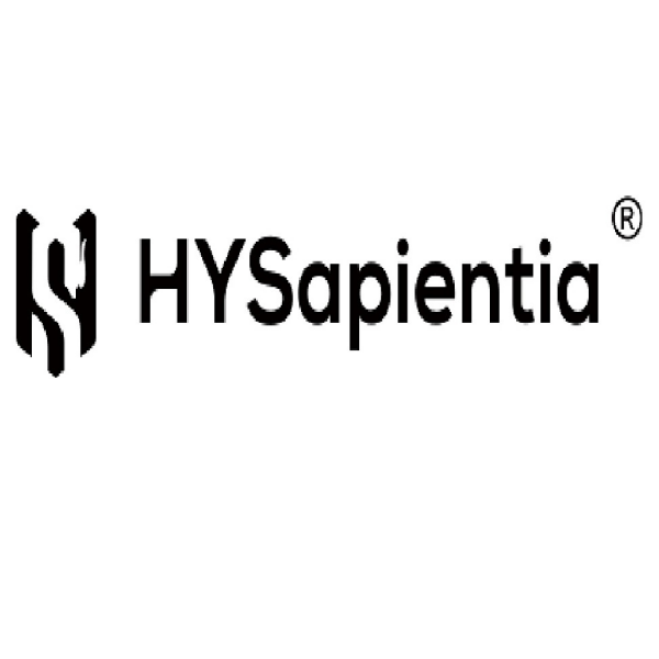 Best Affordable Air Fryer Oven with Grill – HYSapientia