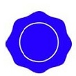 BlueNotary