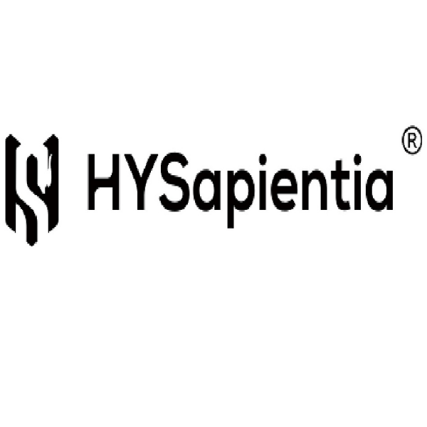 The best air fryer in the UK – HYSapientia