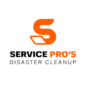 Services Pros of Toledo