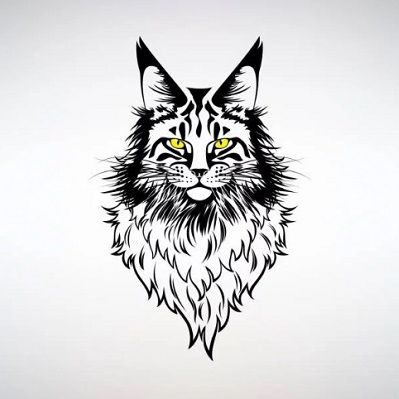 Maine Coon Kittens For Sale