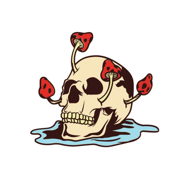 Skull Mushroom Cosmetics Co.