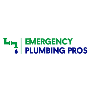 Emergency Plumbing Pros of Bellevue